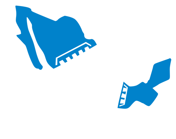 ACADEMIA MEXICANA DEL TANGO